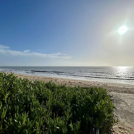 Apartament Renove 2 Pieces Proche - - Fr-1-224b-241